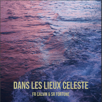 Pochette de l'album Dans les lieux céleste