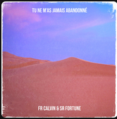 Pochette de l'album Tu ne m'a jamais abandonné